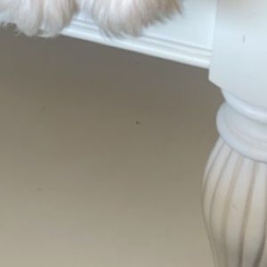 Meet your Posher, Cait